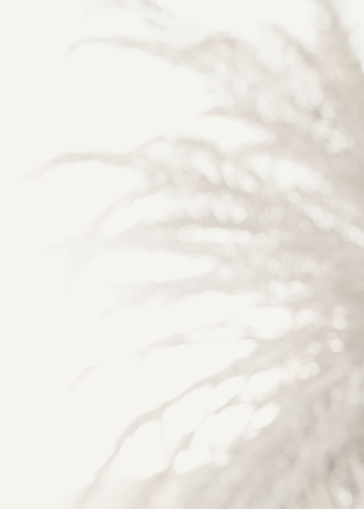 variant-50x70_no-margin
