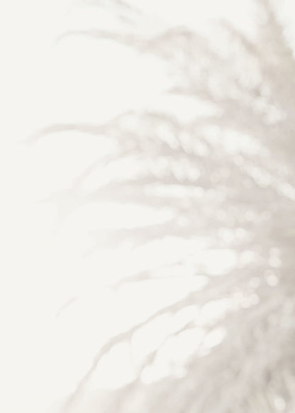 variant-50x70_no-margin