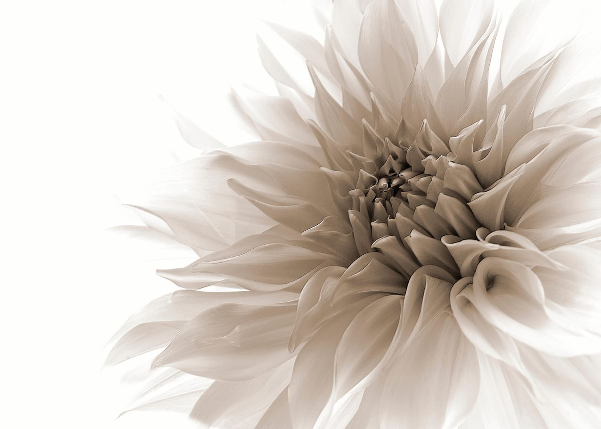variant-50x70_no-margin