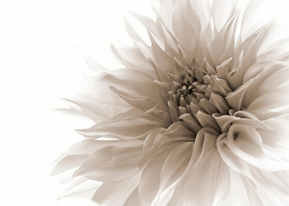 variant-50x70_no-margin