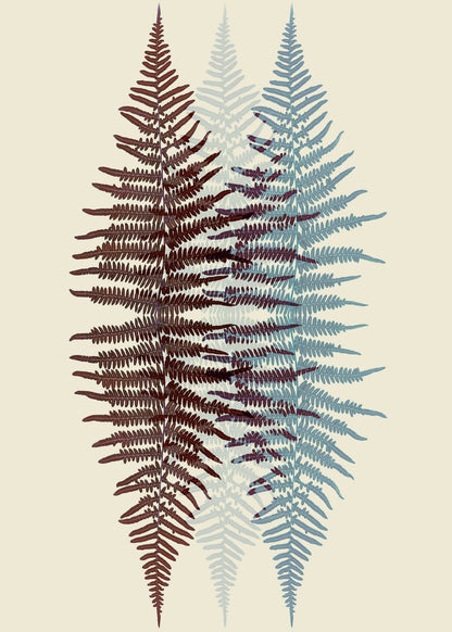 variant-50x70_no-margin