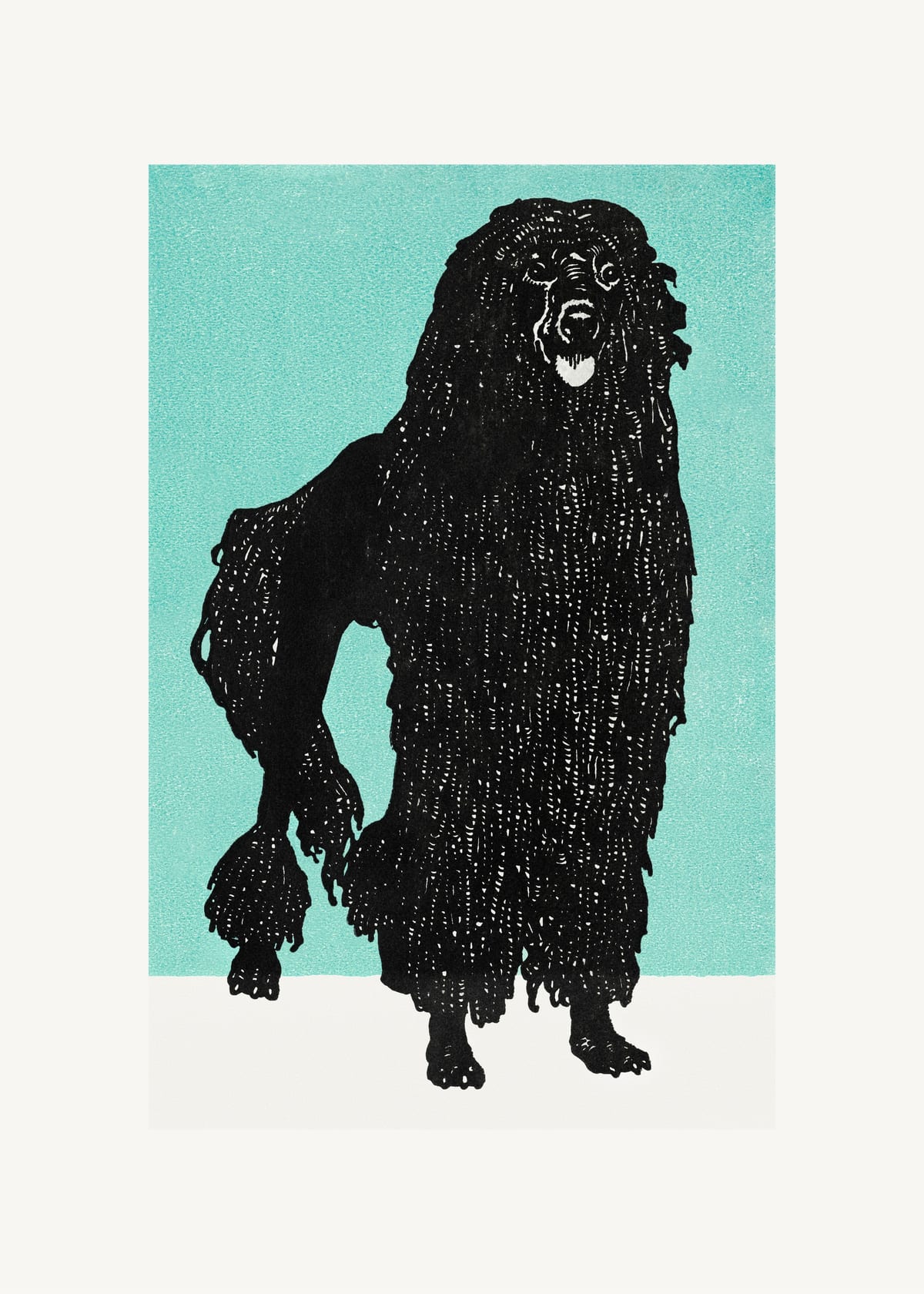 variant-50x70_no-margin