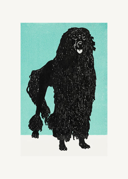 variant-50x70_no-margin