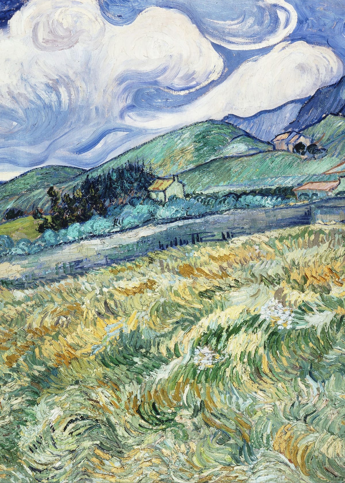 variant-50x70_no-margin