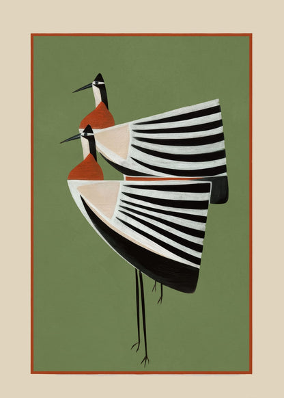 variant-50x70_no-margin