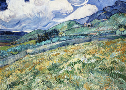 variant-50x70_no-margin