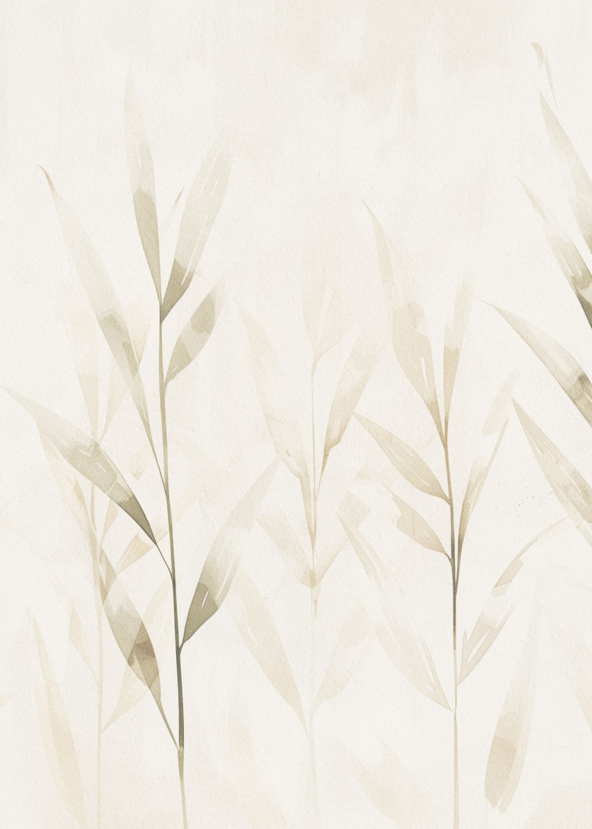 variant-50x70_no-margin