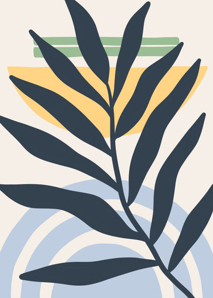 variant-50x70_no-margin