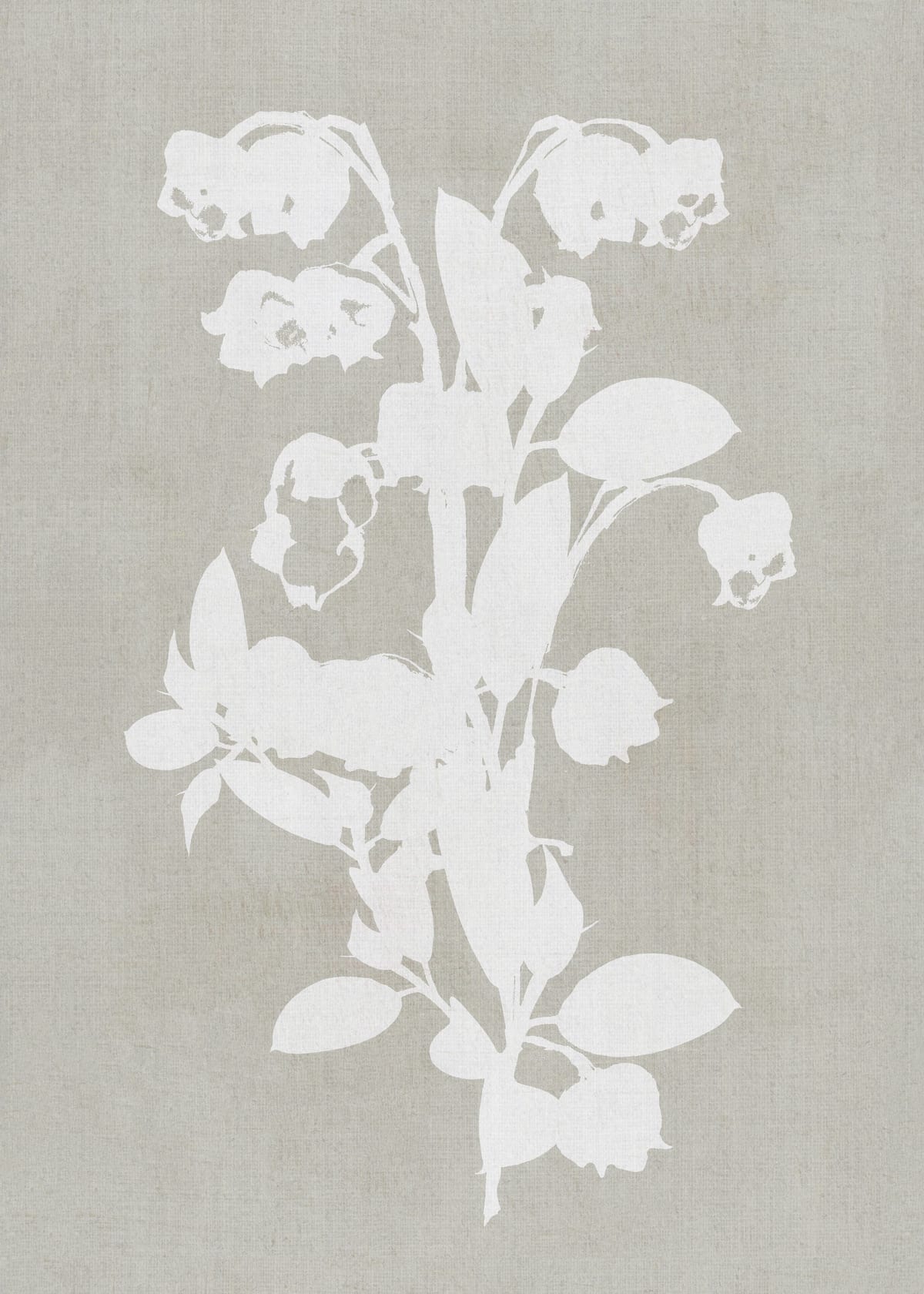 variant-50x70_no-margin