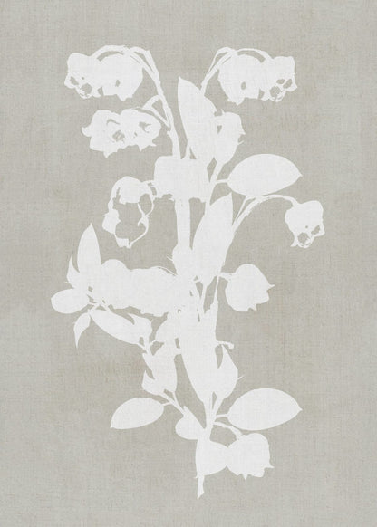 variant-50x70_no-margin