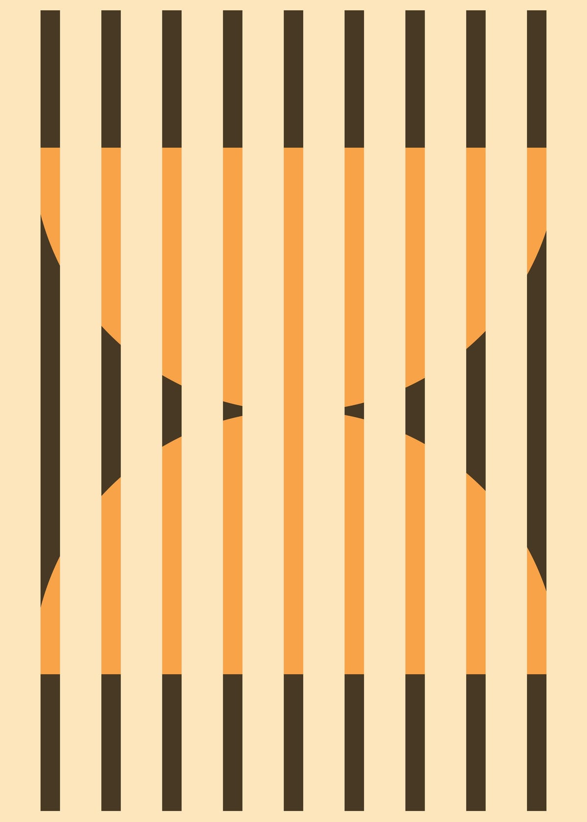variant-50x70_no-margin