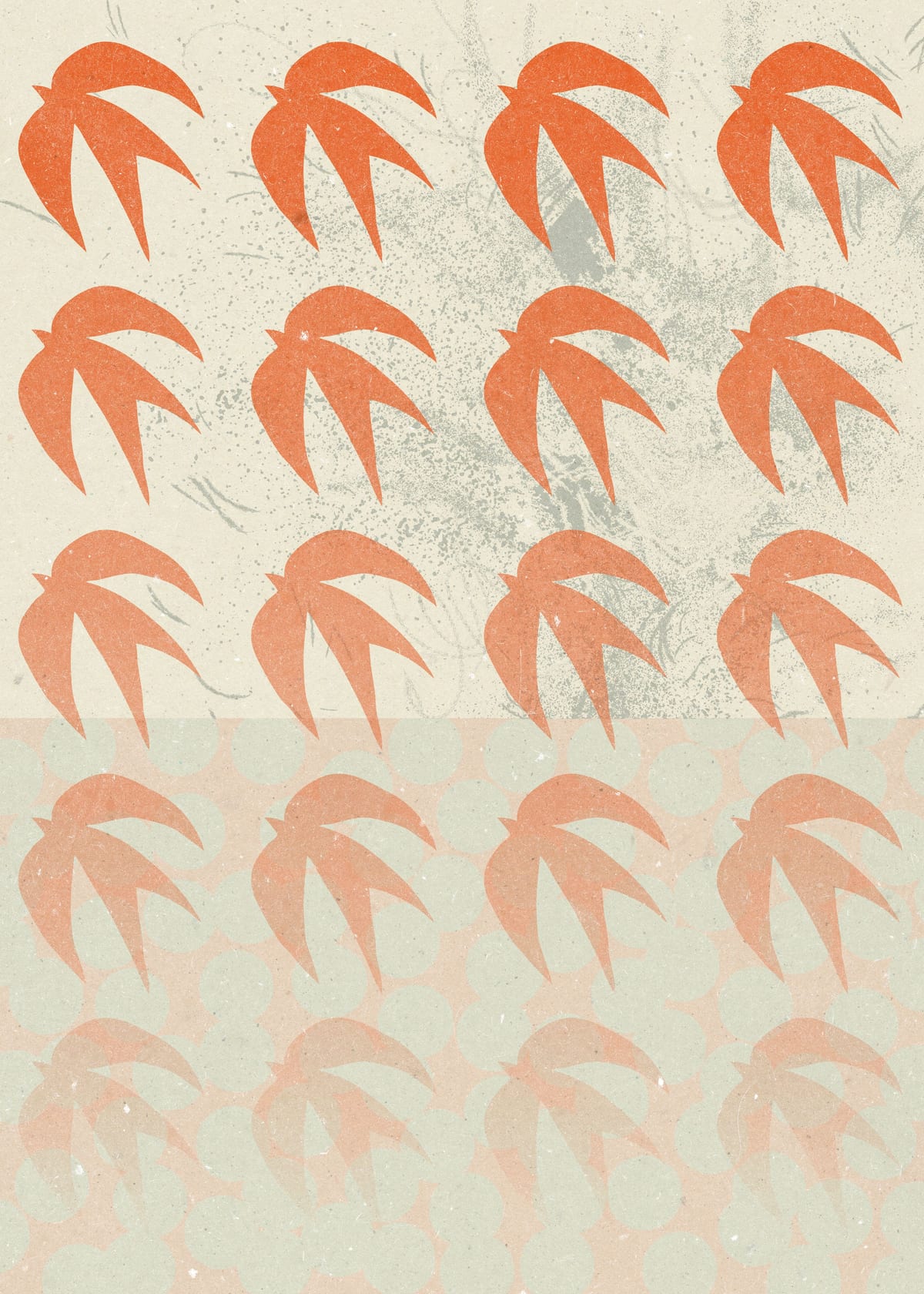 variant-50x70_no-margin