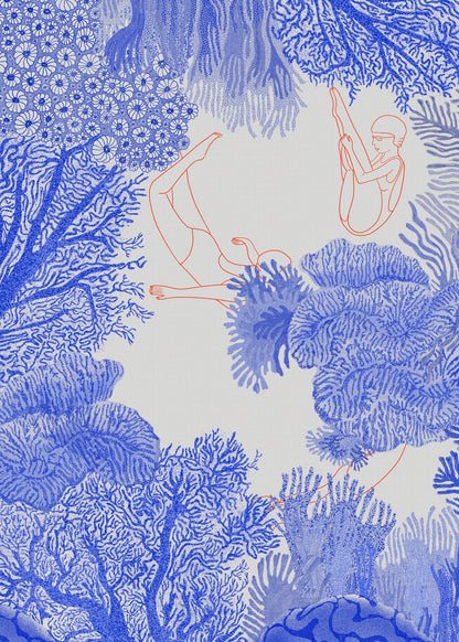 variant-50x70_no-margin