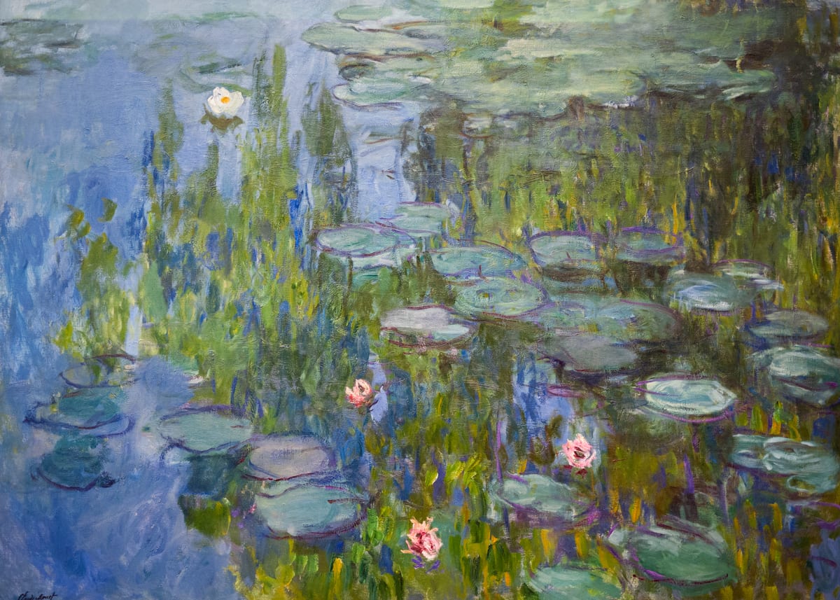 variant-50x70_no-margin
