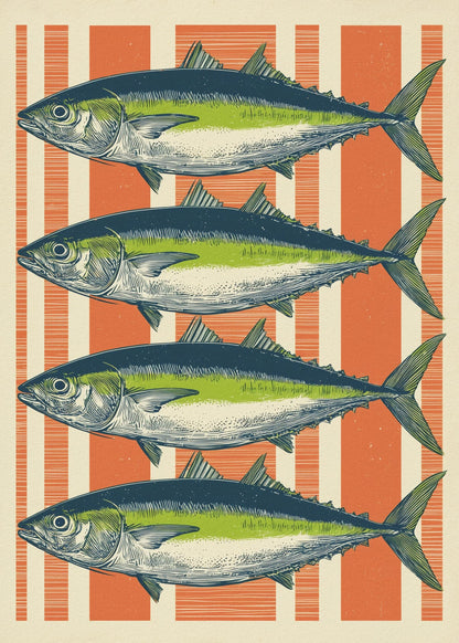 variant-50x70_no-margin