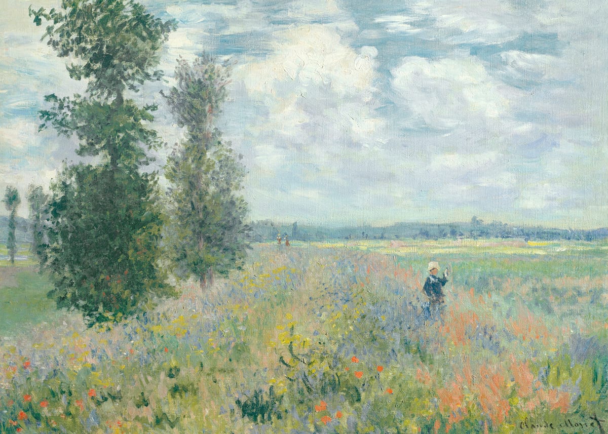 variant-50x70_no-margin
