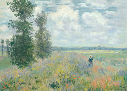 variant-50x70_no-margin