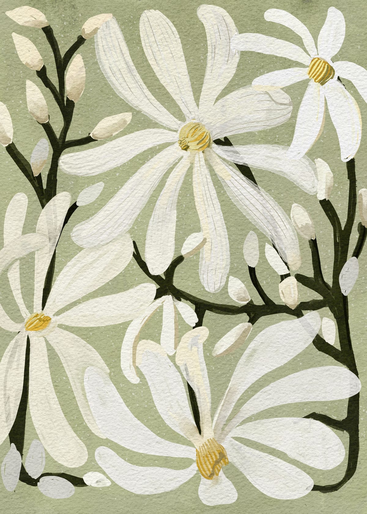 variant-50x70_no-margin