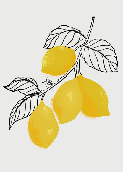 variant-50x70_no-margin