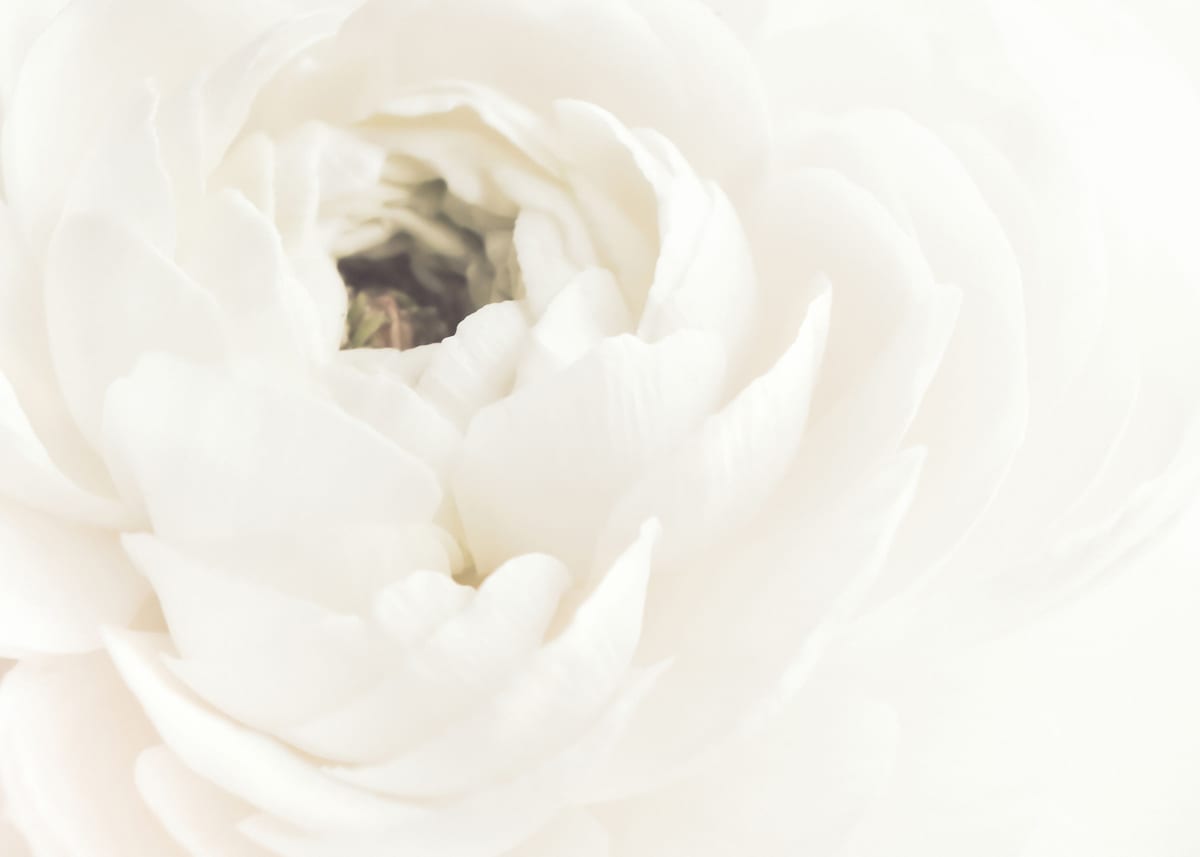 variant-50x70_no-margin