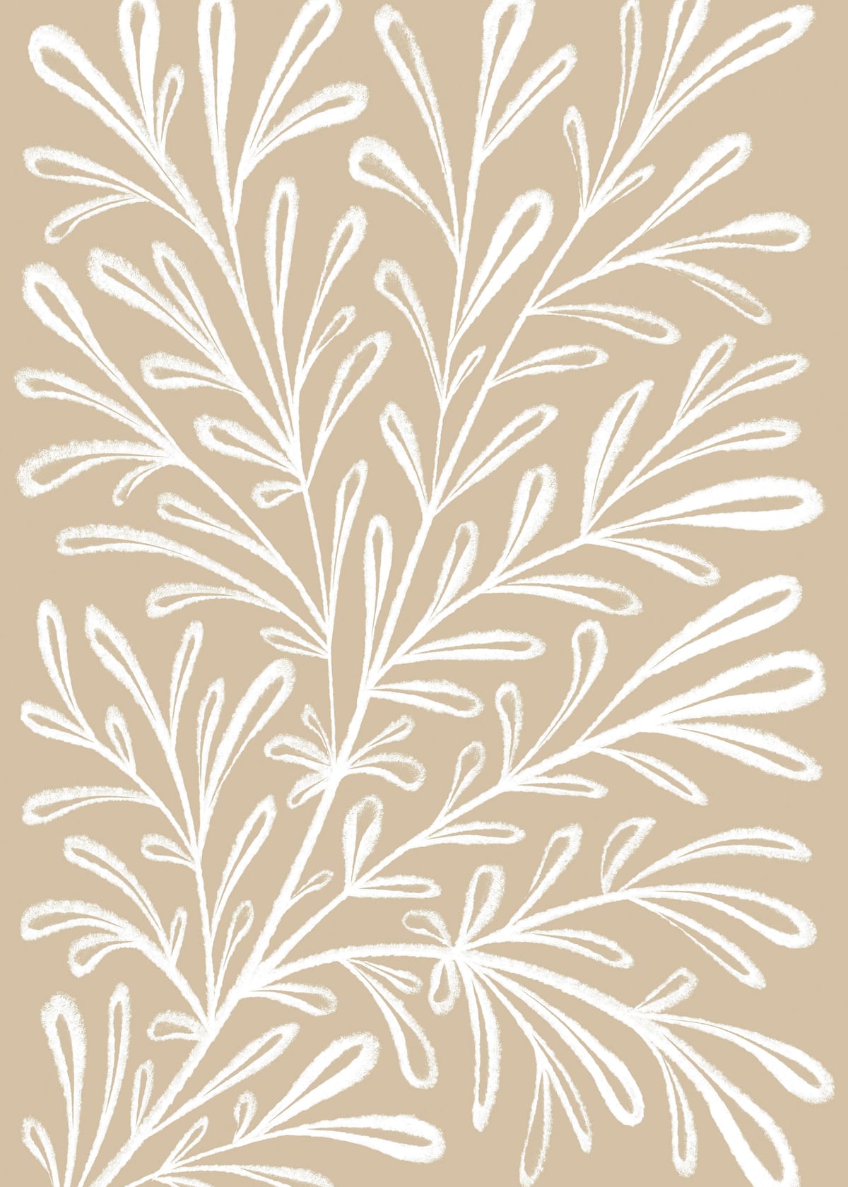 variant-50x70_no-margin