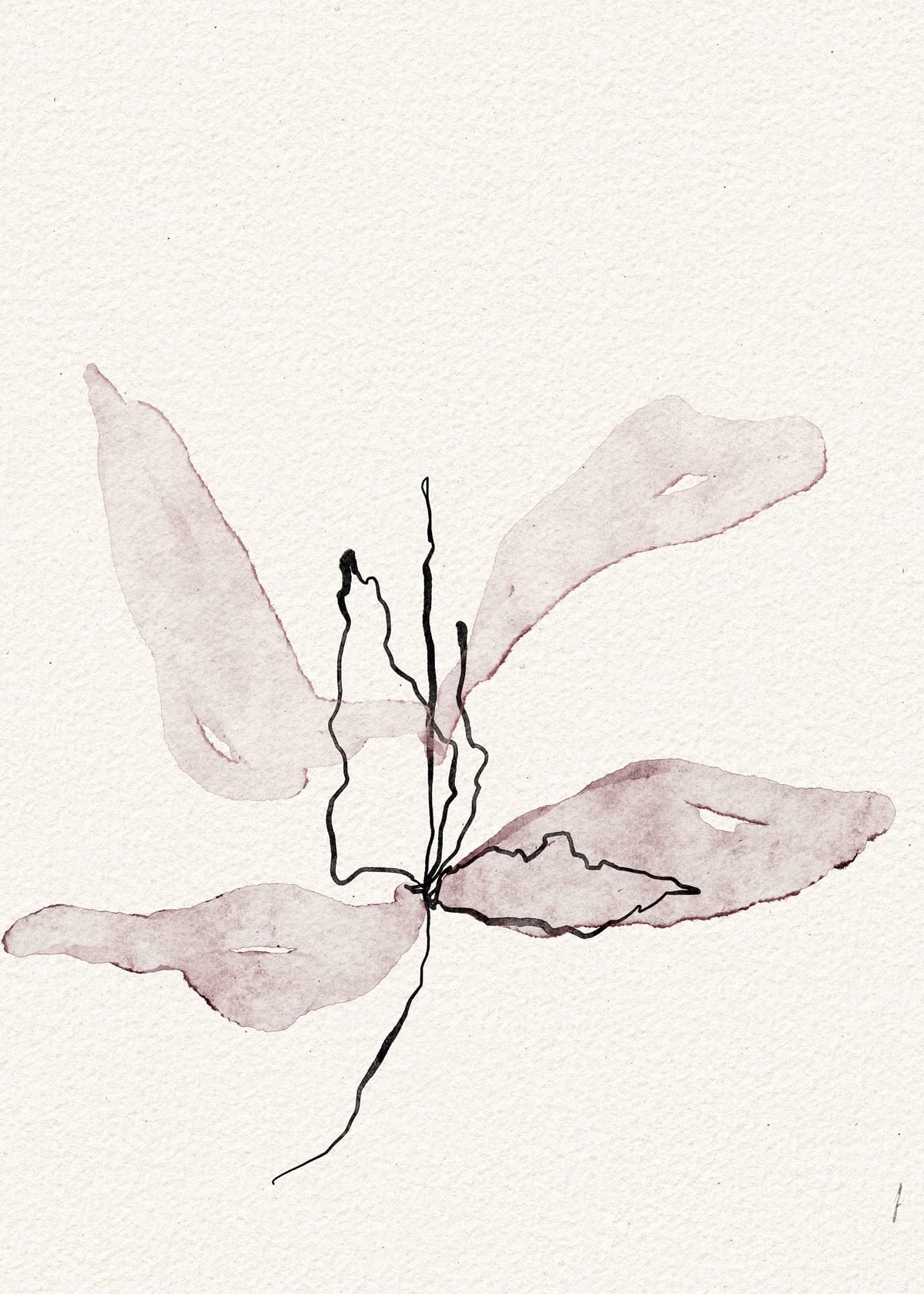 variant-50x70_no-margin
