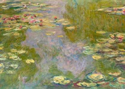 variant-50x70_no-margin