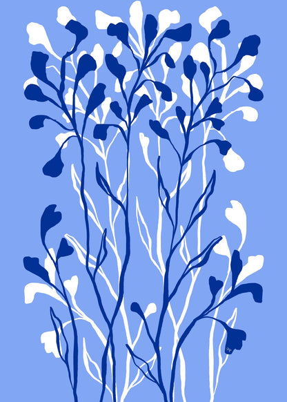 variant-50x70_no-margin