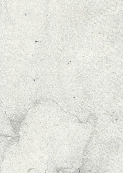variant-50x70_no-margin