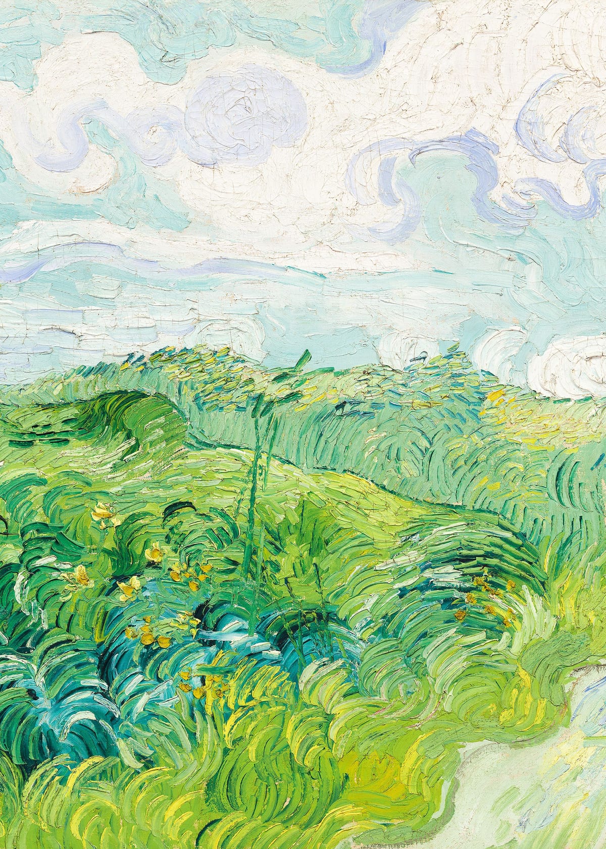 variant-50x70_no-margin