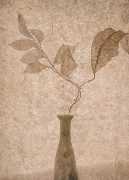 variant-50x70_no-margin