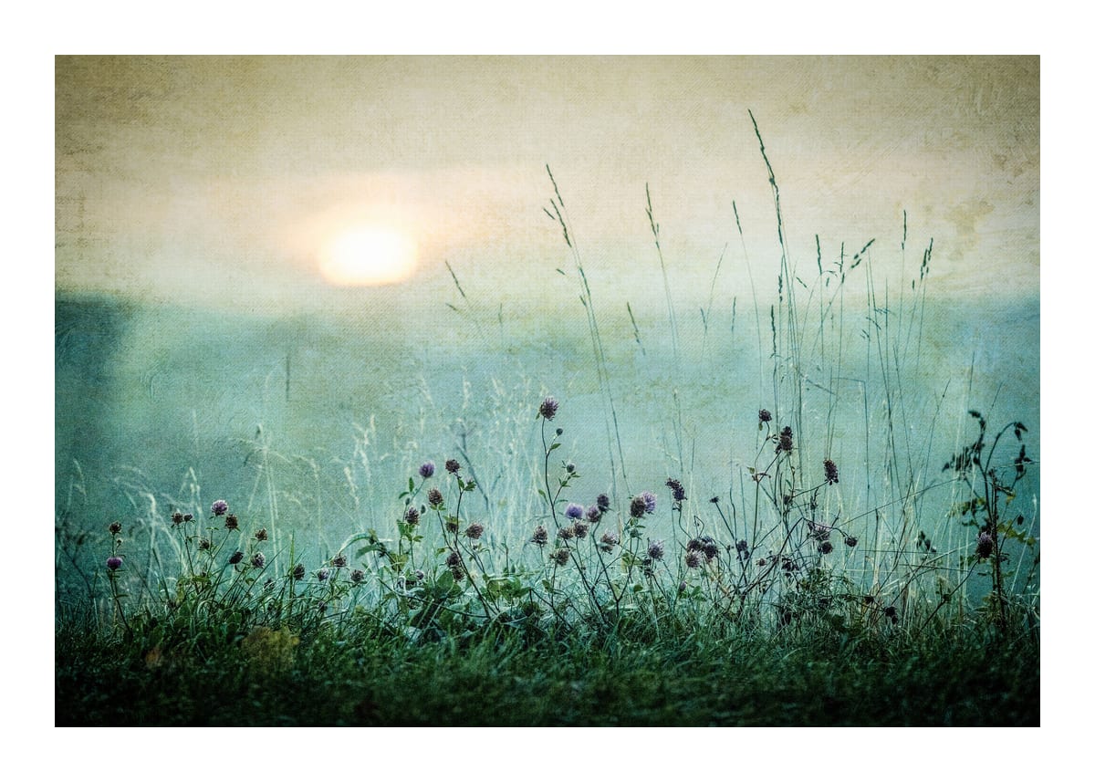 variant-50x70_with-margin
