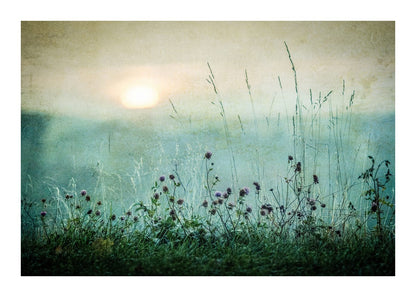 variant-50x70_with-margin