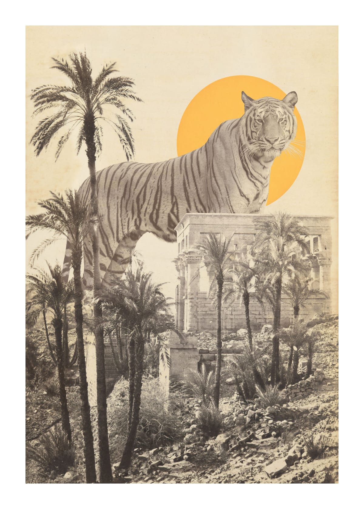 variant-50x70_with-margin