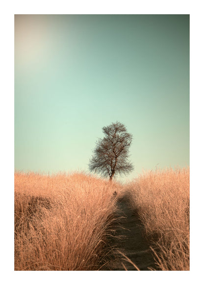 variant-50x70_with-margin