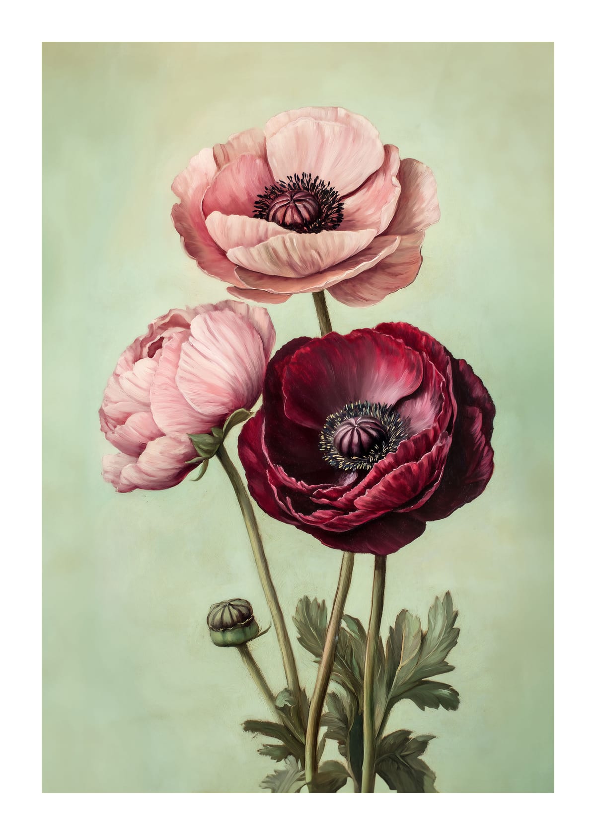 variant-50x70_with-margin