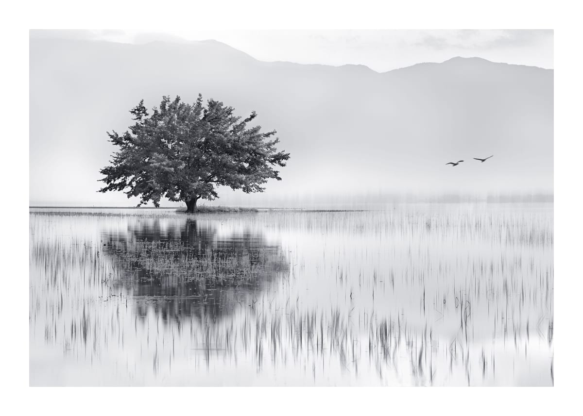 variant-50x70_with-margin