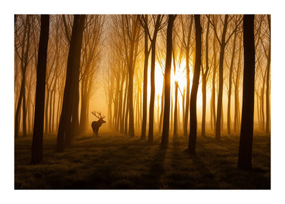 variant-50x70_with-margin