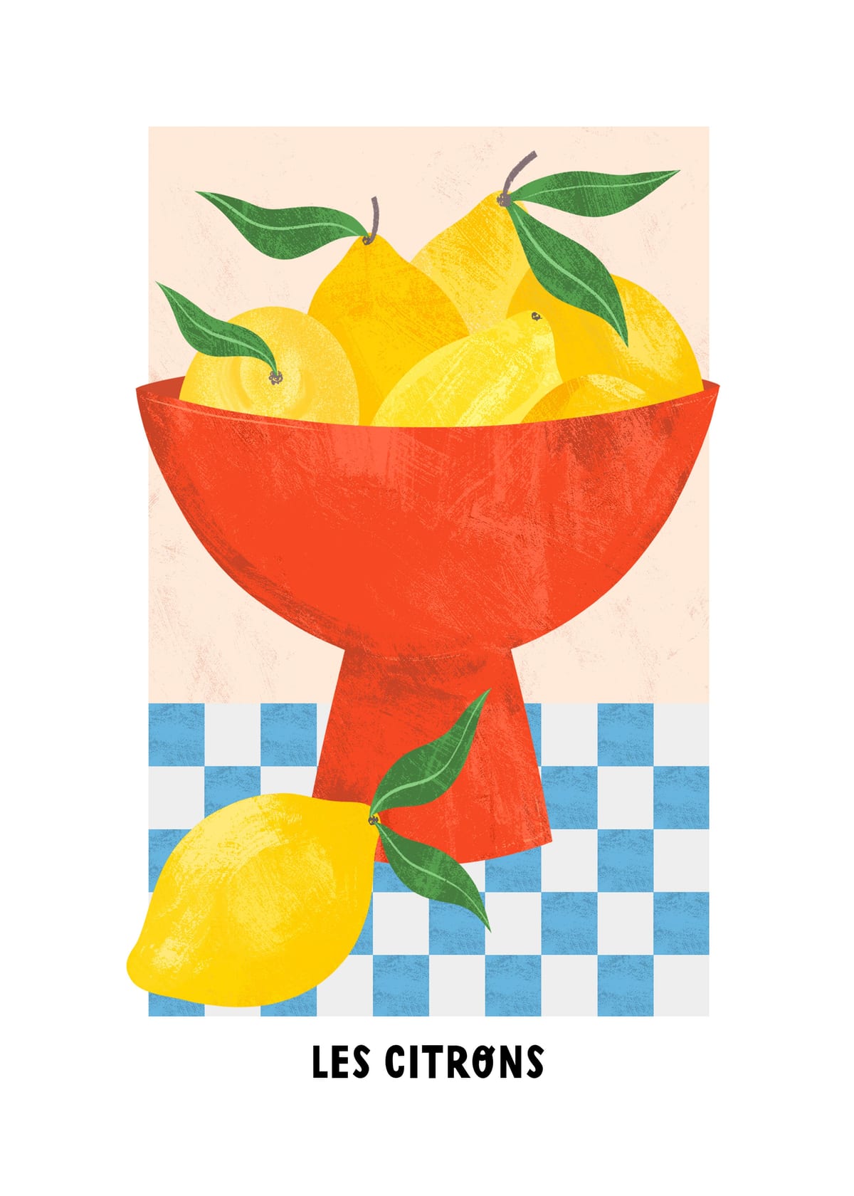 variant-50x70_with-margin