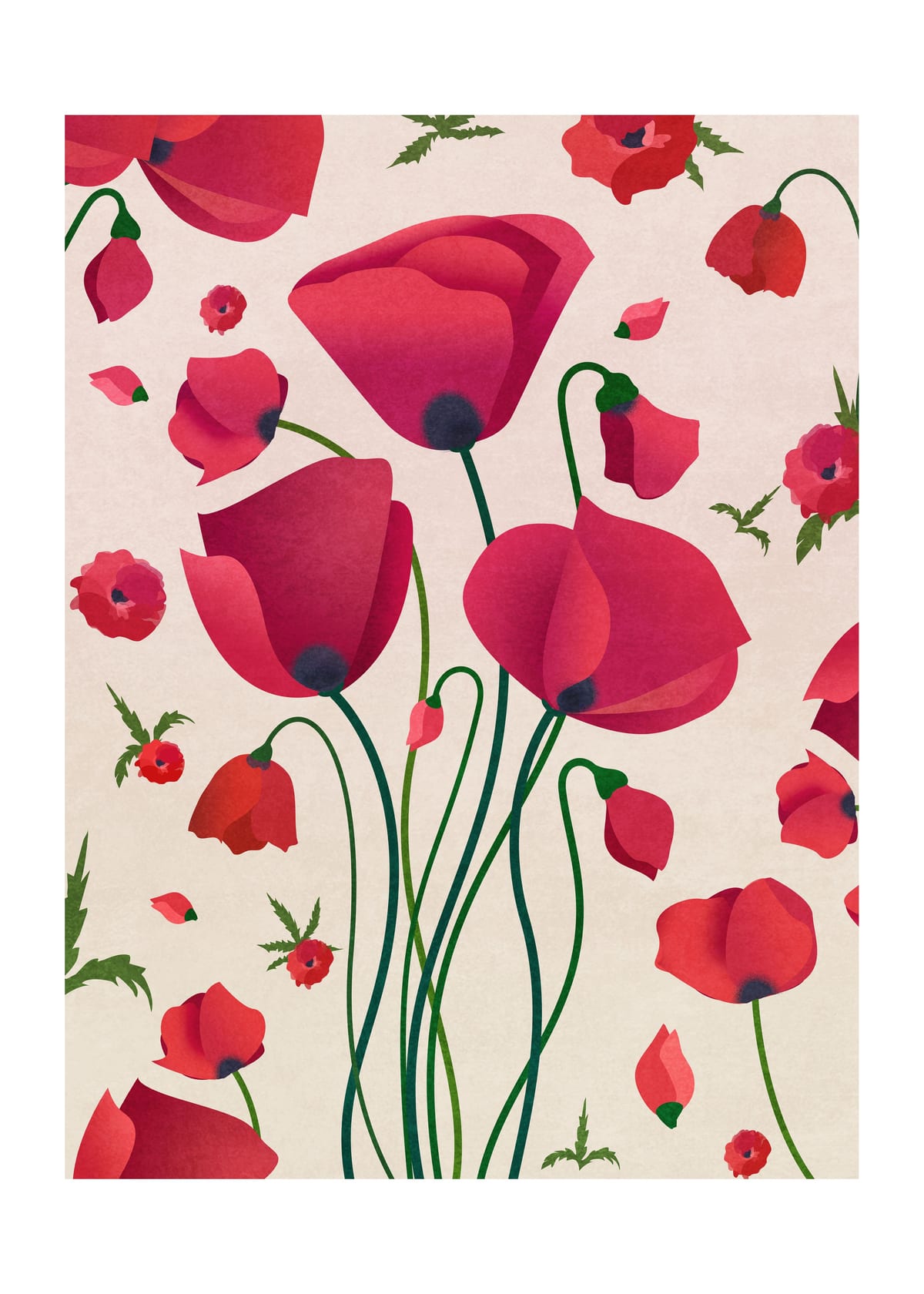 variant-50x70_with-margin
