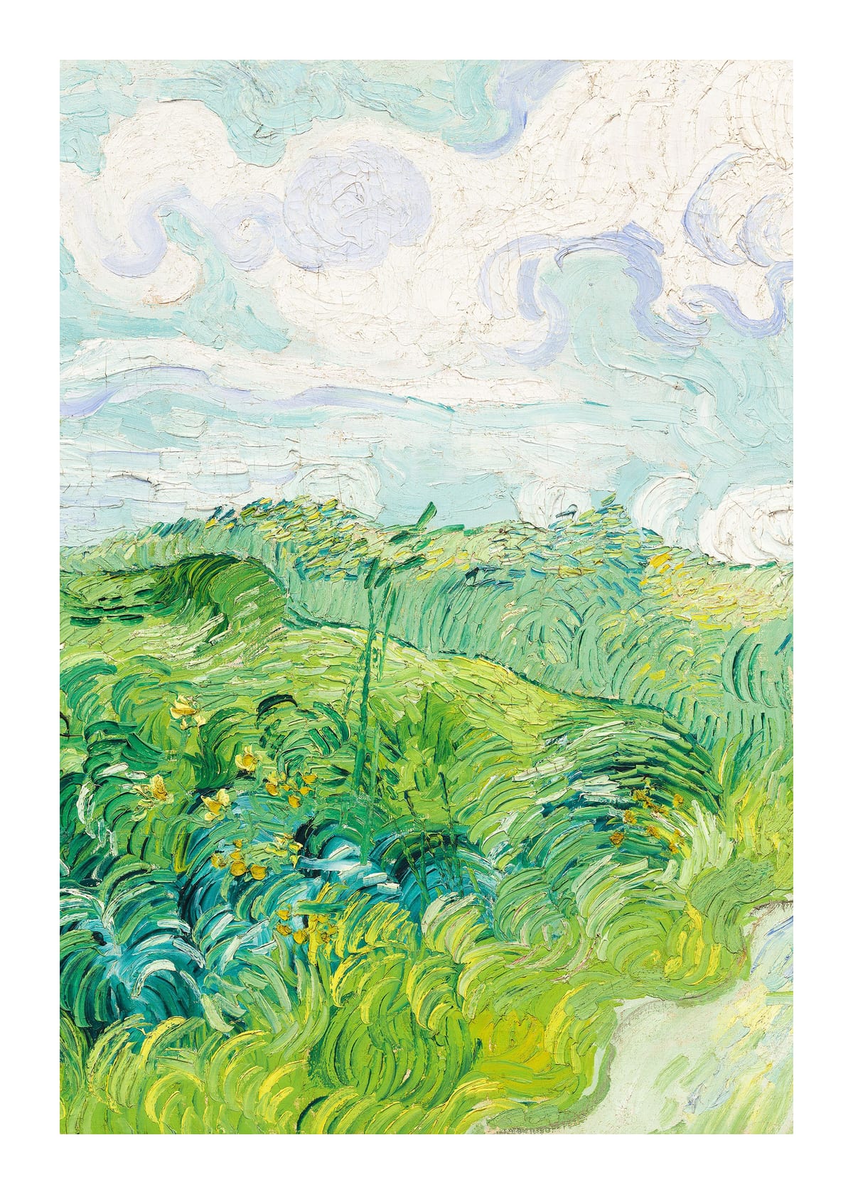 variant-50x70_with-margin