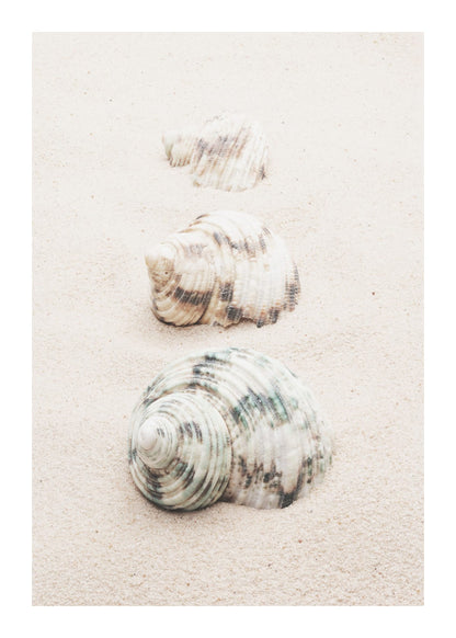 variant-50x70_with-margin