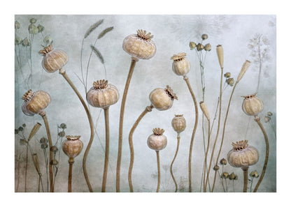 variant-50x70_with-margin