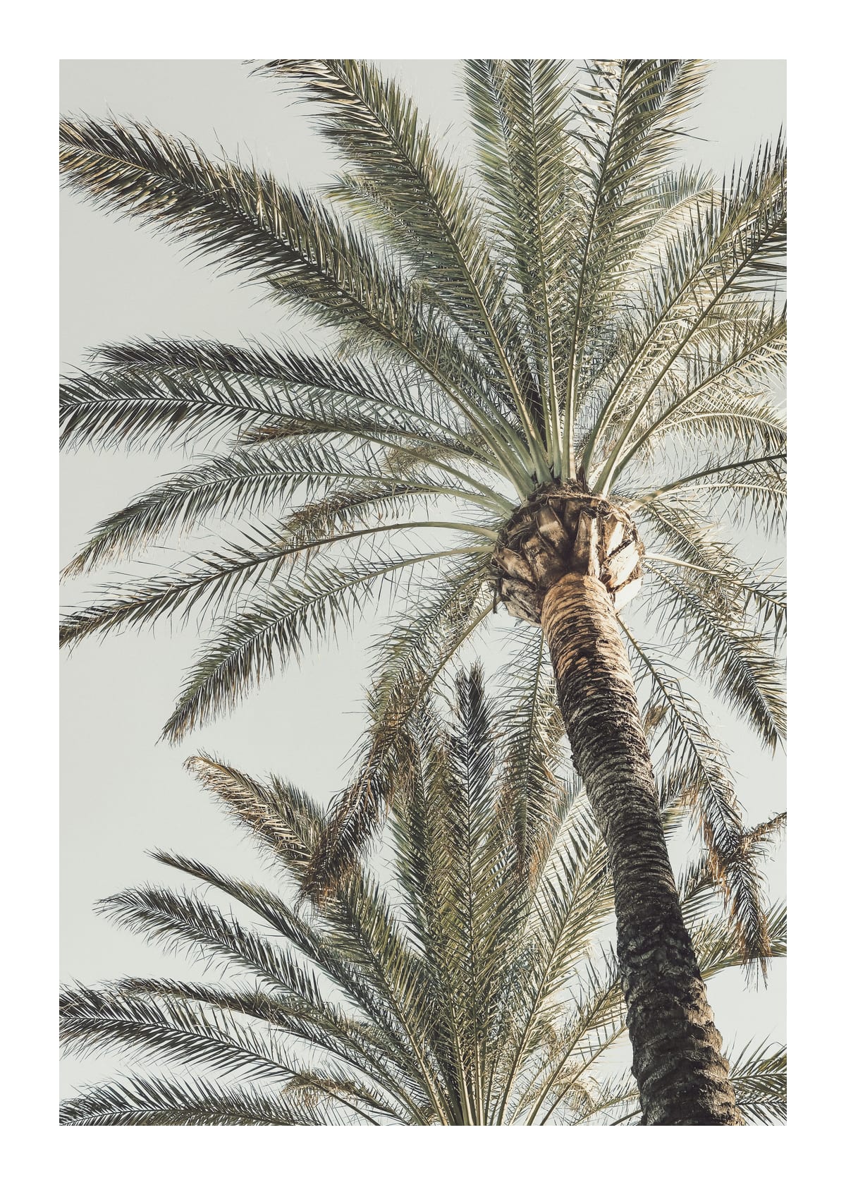 variant-50x70_with-margin