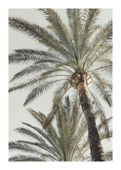 variant-50x70_with-margin