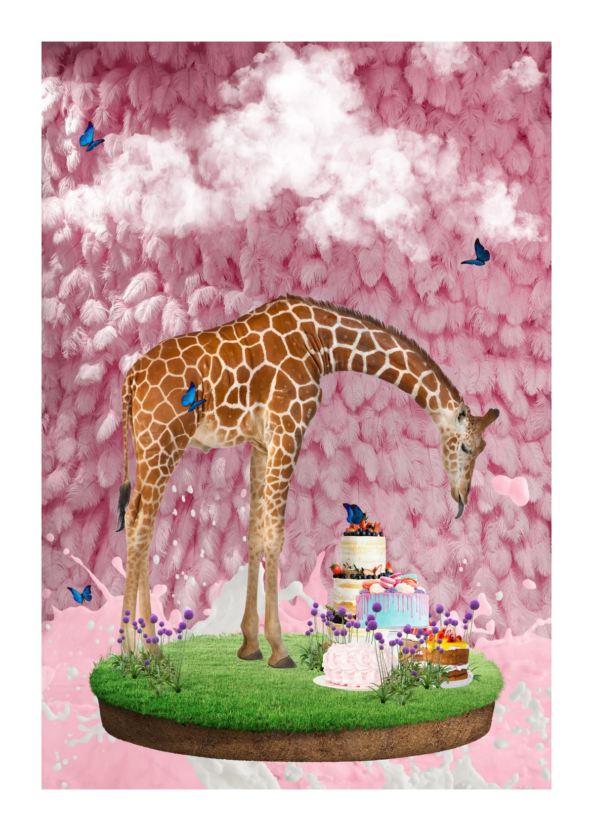 variant-50x70_with-margin