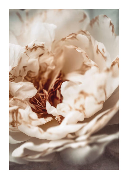 variant-50x70_with-margin