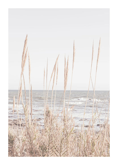 variant-50x70_with-margin
