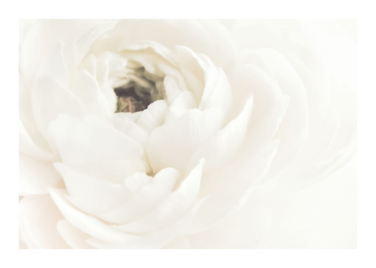 variant-50x70_with-margin