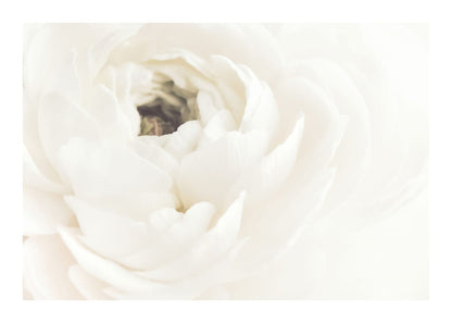variant-50x70_with-margin